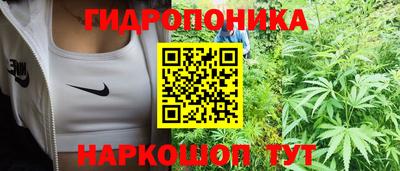 ALPHA PVP Малгобек